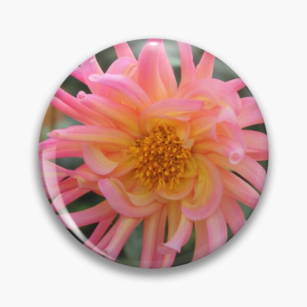 Item preview, Pink and orange dahlia - Dreamy floral macro photography designed and sold by Cha-s-lens.
