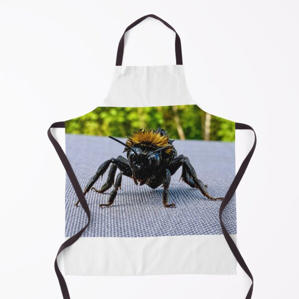 Item preview, The Guardian of the Garden designed and sold by Astute-Artio-Photography.
