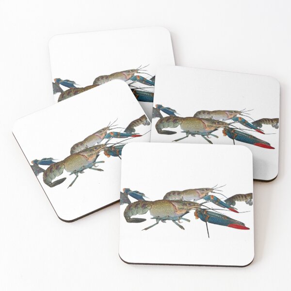 Item preview, Redclaw crayfish from Queensland Australia designed and sold by Creative Endeavors ..