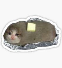 Katzenkartoffel Sticker