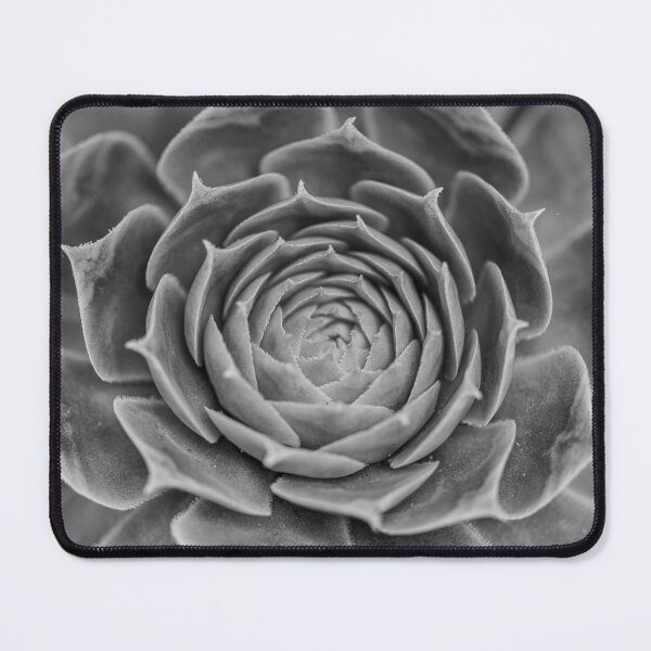 Item preview, Succulent Plant designed and sold by assaf.