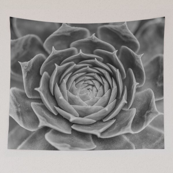 Item preview, Succulent Plant designed and sold by assaf.