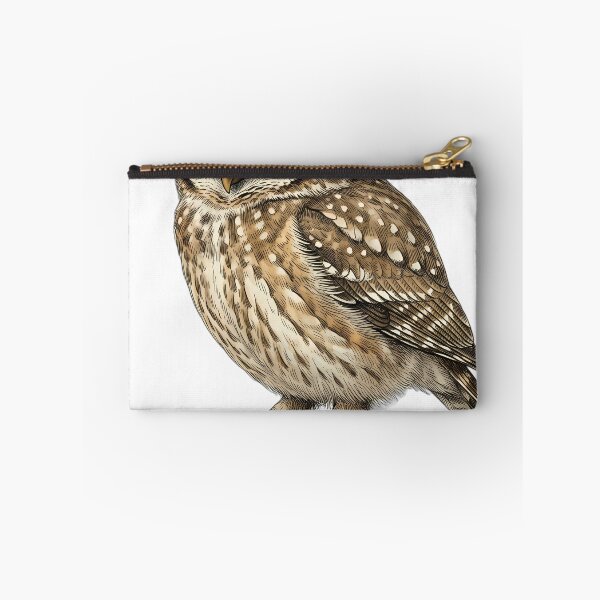 Item preview, Vintage Naturalist Eurasian Pygmy Owl - Antique Owl Study Print designed and sold by Catch333.