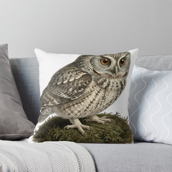 Aperçu de l'œuvre Vintage Naturalist Elf Owl - Antique Winter Owl Print créée et vendue par Catch333.
