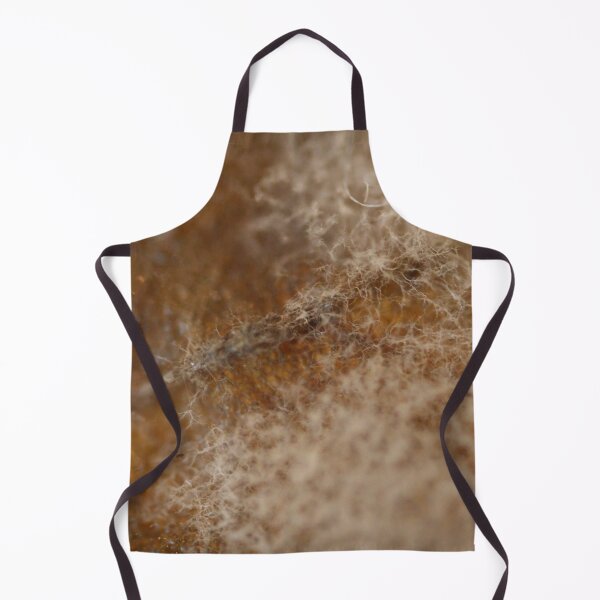 Item preview, Hifas de moho blanco sobre una brizna de hierba seca designed and sold by Petalgrain.