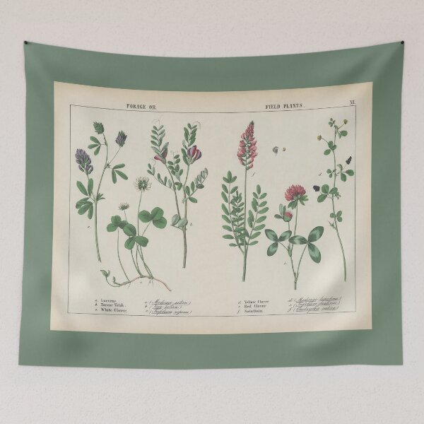 Item preview, Vintage Botanical Illustration of Forage and Field Plants designed and sold by newnouveau.