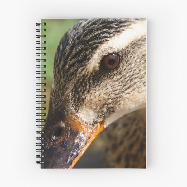Item preview, Eye contact designed and sold by GreyFeatherPhot.