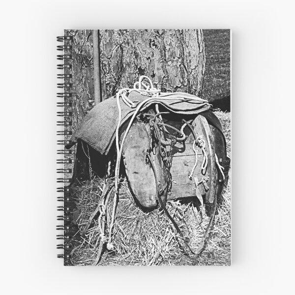 Item preview, Saddle and ropes on the hay bale designed and sold by Giuseppe Cocco.