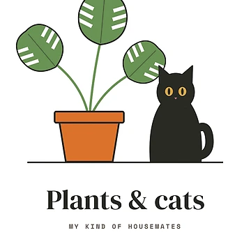 Vorschaubild zum Design Plants and Cats - Black Cat and Monstera Plant von Rilindi
