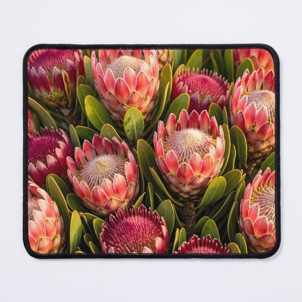 Item preview, Vibrant Pink King Protea Flower designed and sold by Sybille-Yates.