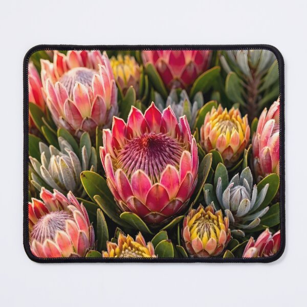 Item preview, Vibrant Pink King Protea Flower designed and sold by Sybille-Yates.