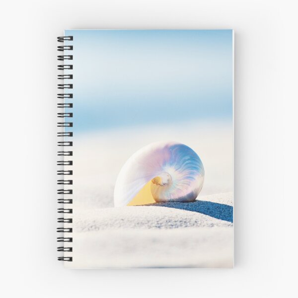 Item preview, Pearl Nautilus Seashell Photography, Blue Beach Shell Coastal Art designed and sold by Carolyn Cochrane.
