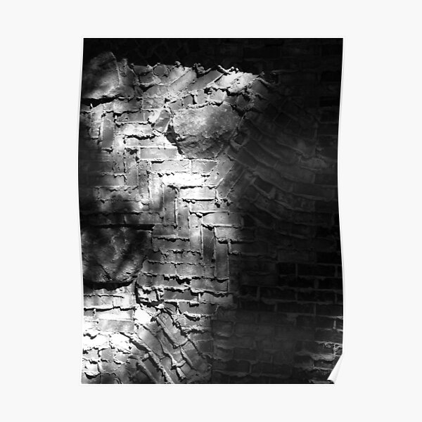 Another Brick in the Wall Poster