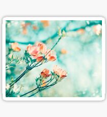 Teal Peach Coral Dogwood Flower Photography, Aqua Turquoise Teal Mint Sticker