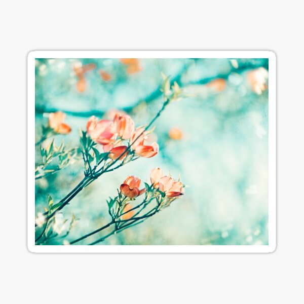 Item preview, Teal Peach Coral Dogwood Flower Photography, Aqua Turquoise Teal Mint designed and sold by Carolyn Cochrane.
