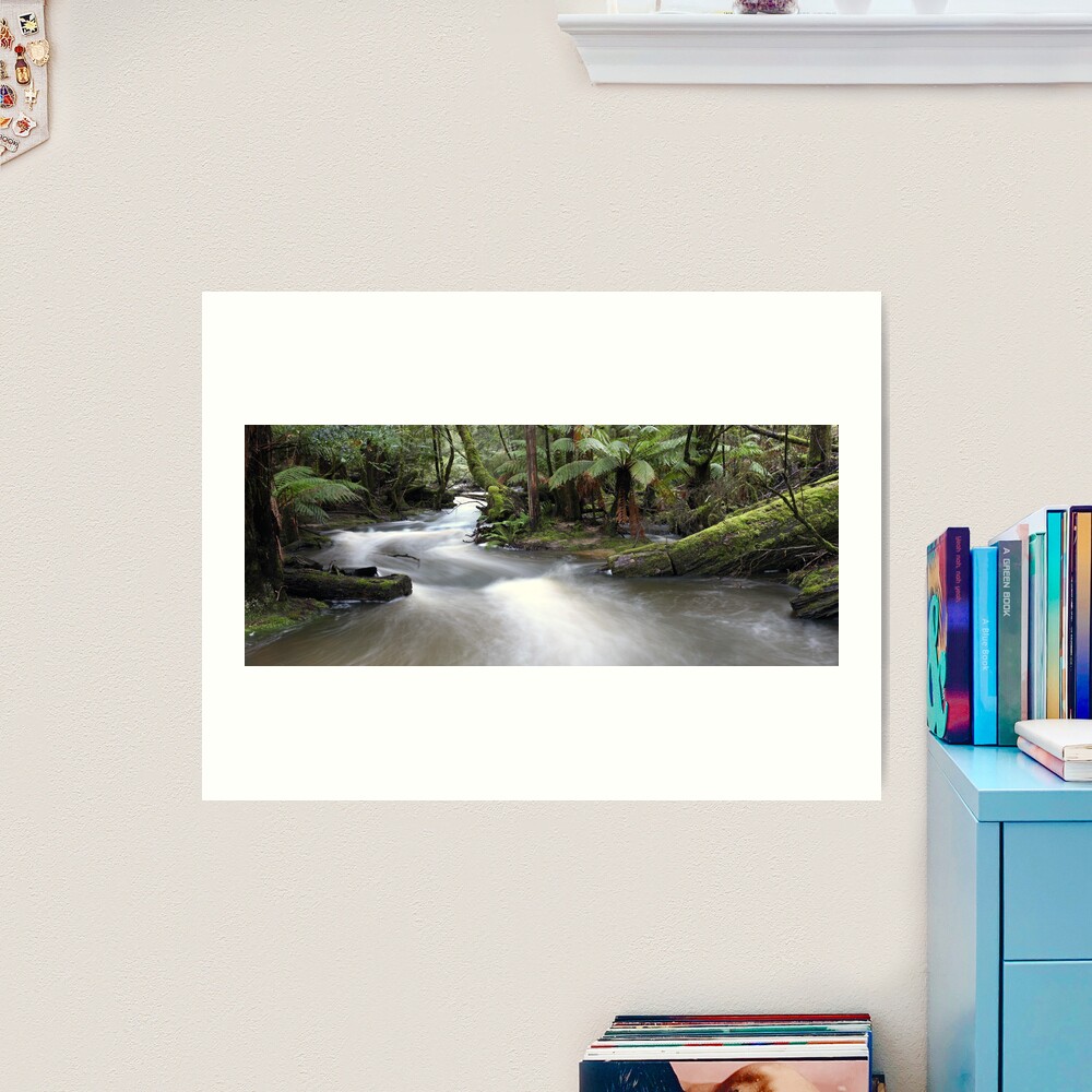 Russell Creek, Tasmania, Australia Art Print
