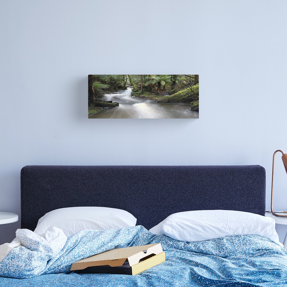 Russell Creek, Tasmania, Australia Canvas Print