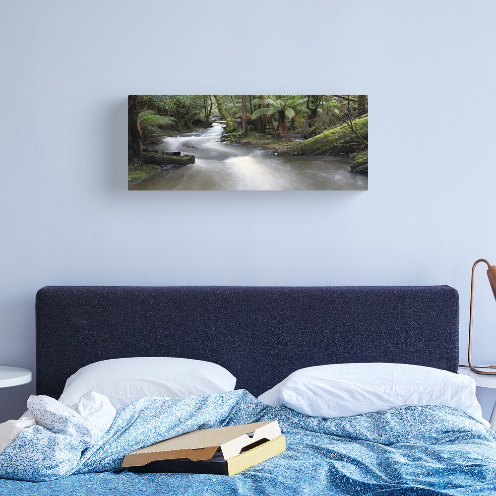 Russell Creek, Tasmania, Australia Canvas Print