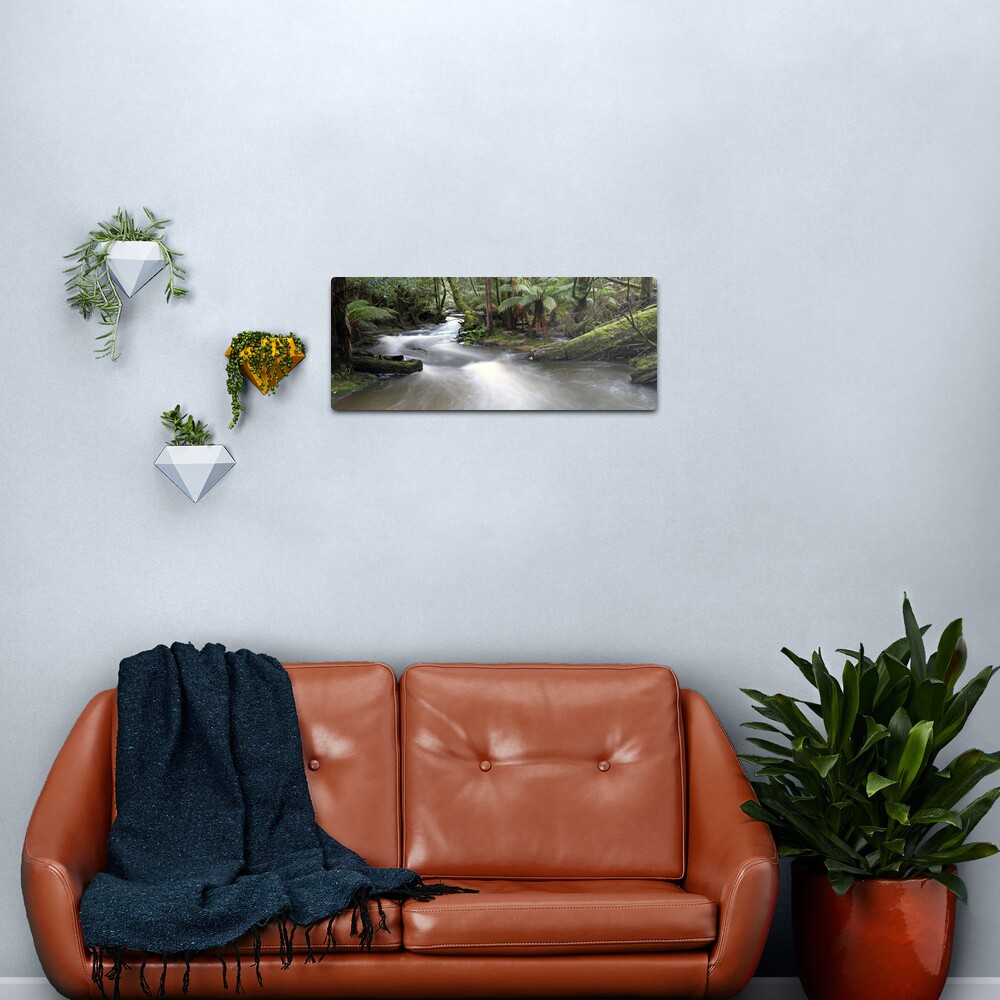 Russell Creek, Tasmania, Australia Metal Print