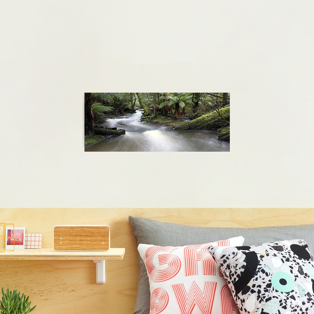 Russell Creek, Tasmania, Australia Photographic Print