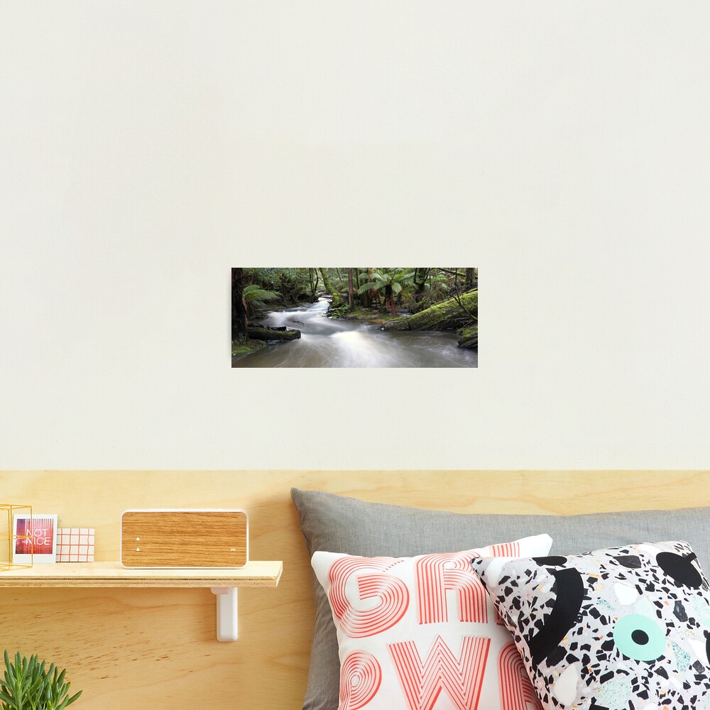 Russell Creek, Tasmania, Australia Photographic Print