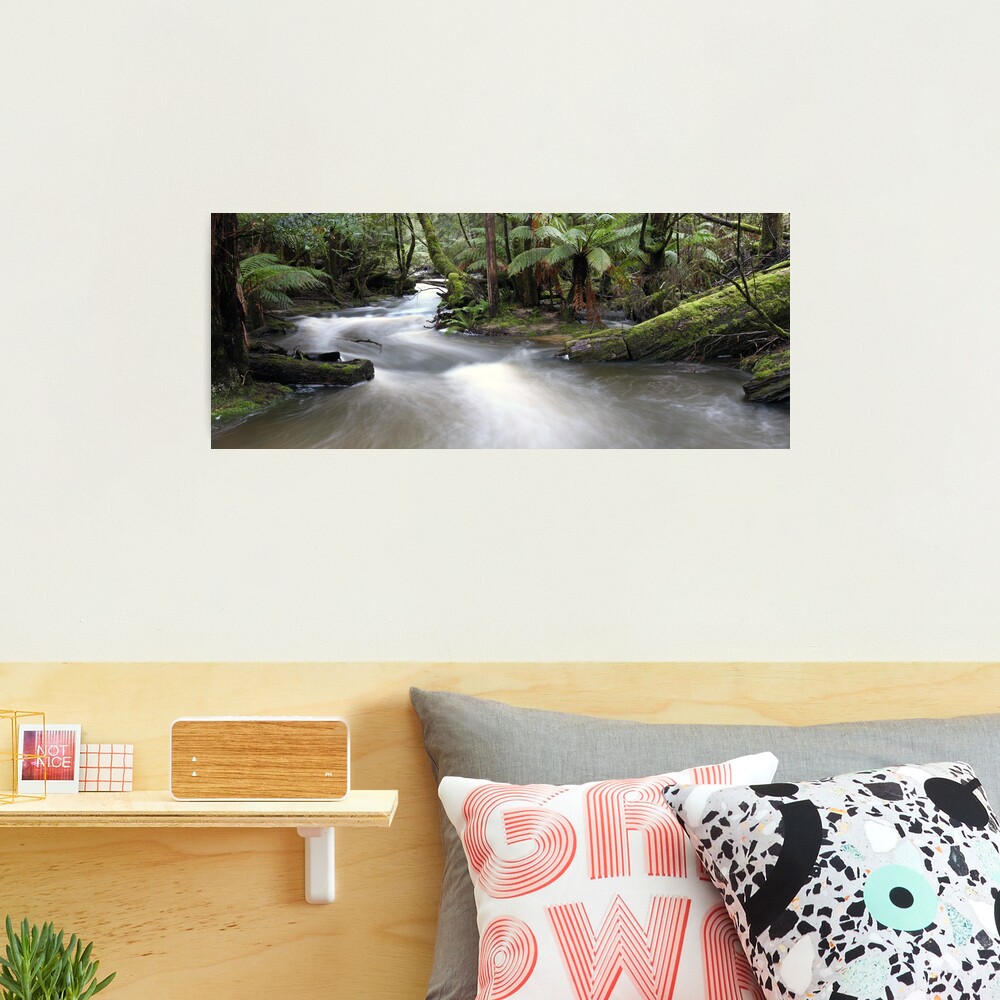Russell Creek, Tasmania, Australia Photographic Print