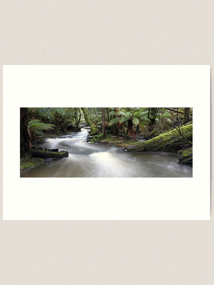 Alternate view of Russell Creek, Tasmania, Australia Art Print