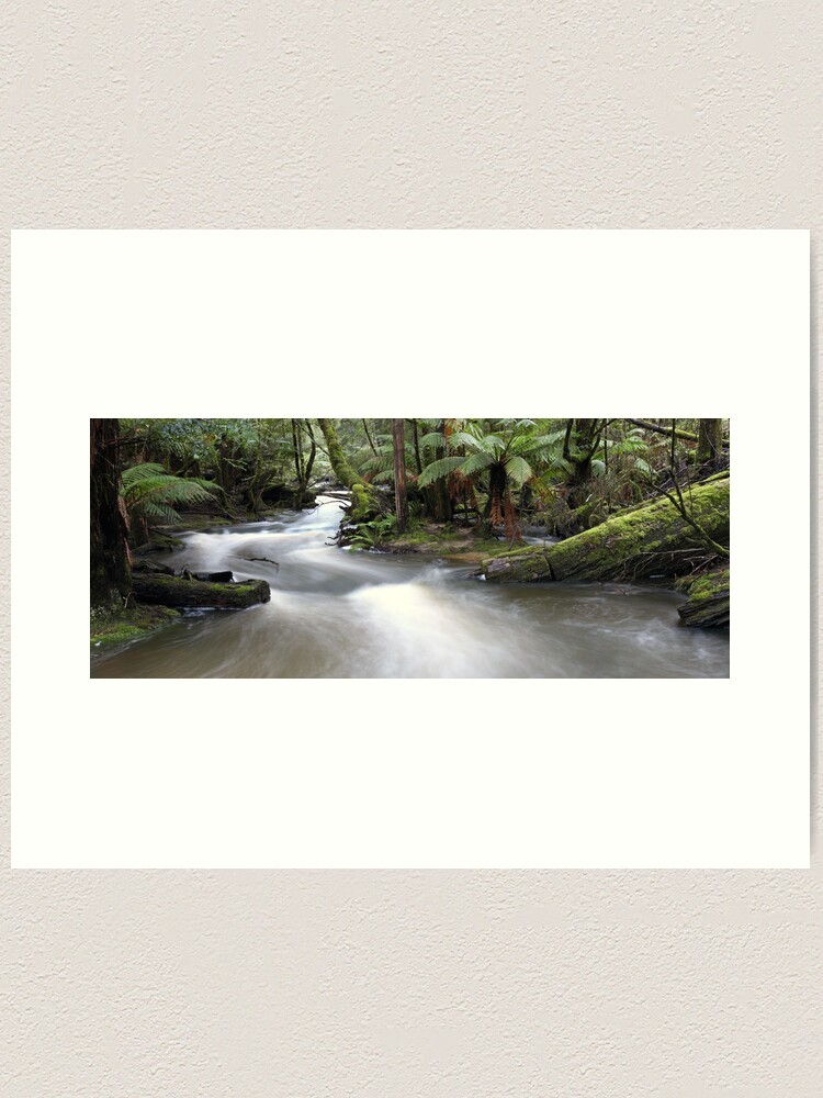 Alternate view of Russell Creek, Tasmania, Australia Art Print
