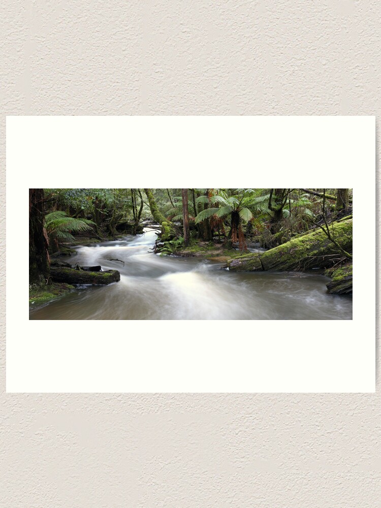 Alternate view of Russell Creek, Tasmania, Australia Art Print