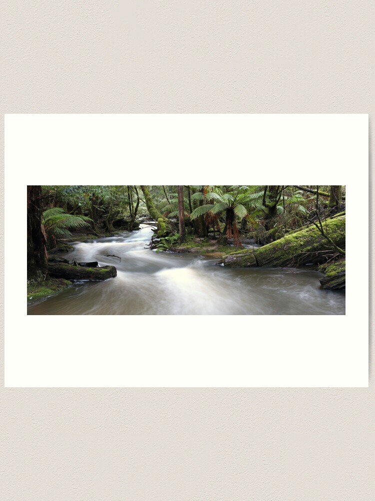 Alternate view of Russell Creek, Tasmania, Australia Art Print