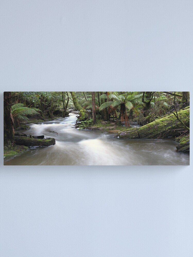 Alternate view of Russell Creek, Tasmania, Australia Canvas Print