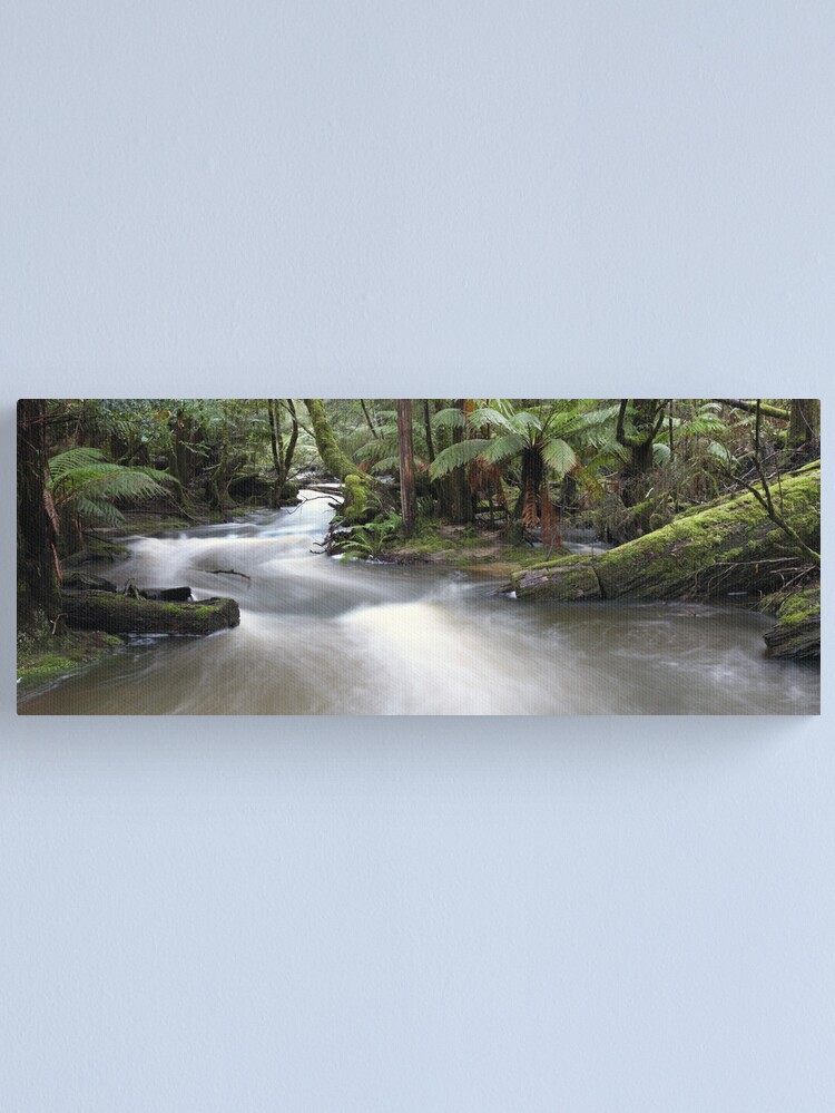Alternate view of Russell Creek, Tasmania, Australia Canvas Print