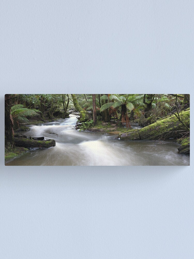 Alternate view of Russell Creek, Tasmania, Australia Canvas Print