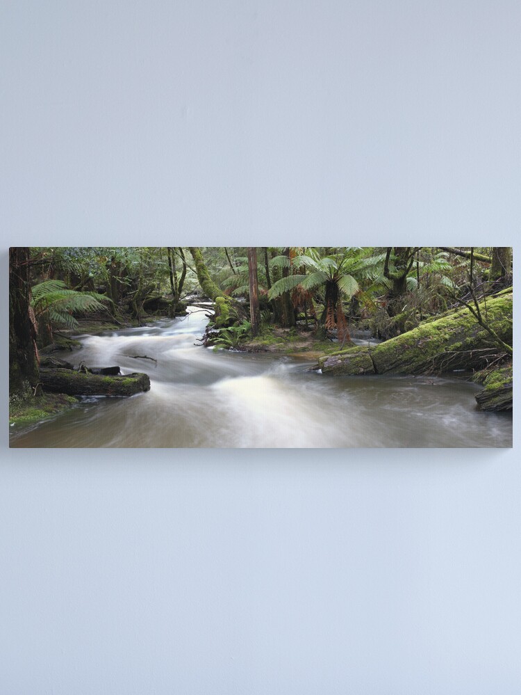 Alternate view of Russell Creek, Tasmania, Australia Canvas Print