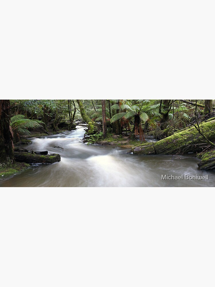 Russell Creek, Tasmania, Australia by Chockstone