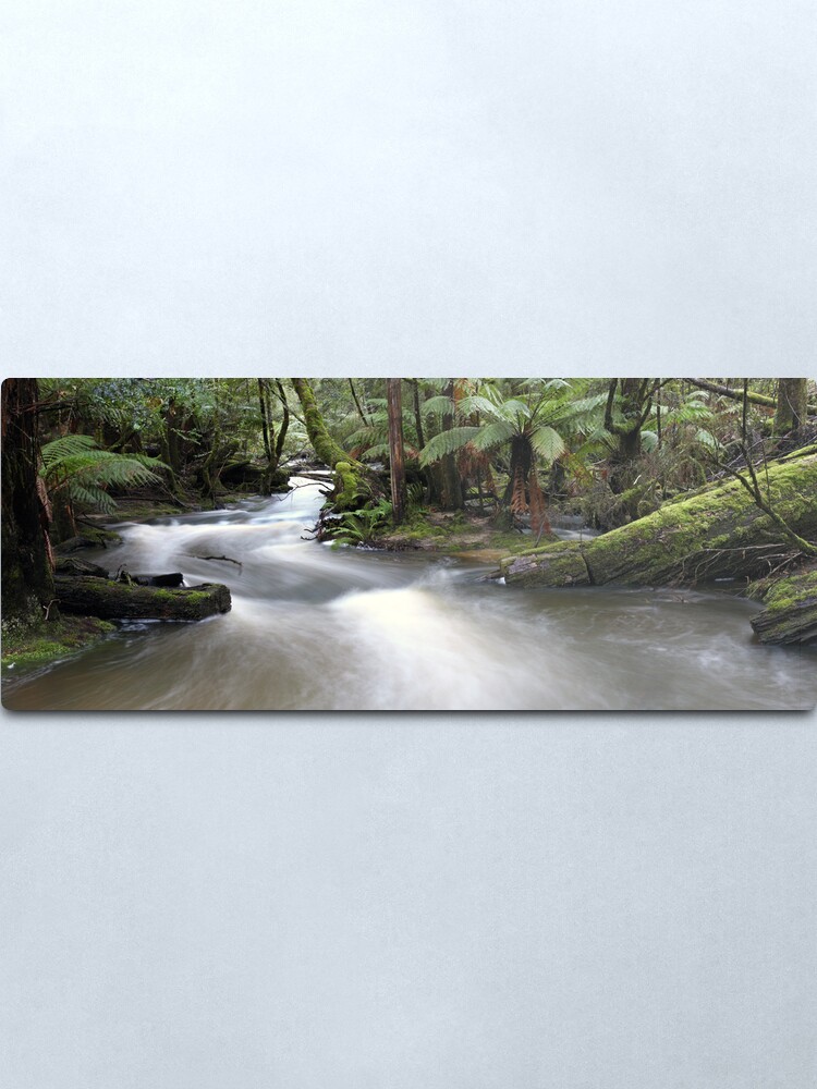 Alternate view of Russell Creek, Tasmania, Australia Metal Print