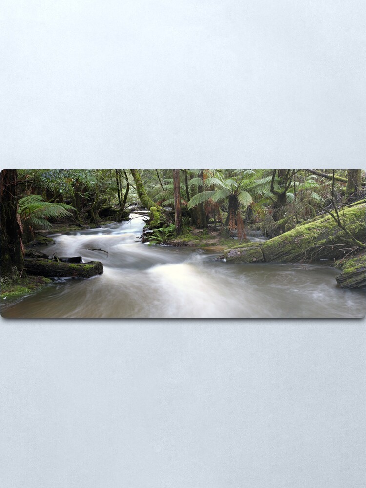 Alternate view of Russell Creek, Tasmania, Australia Metal Print