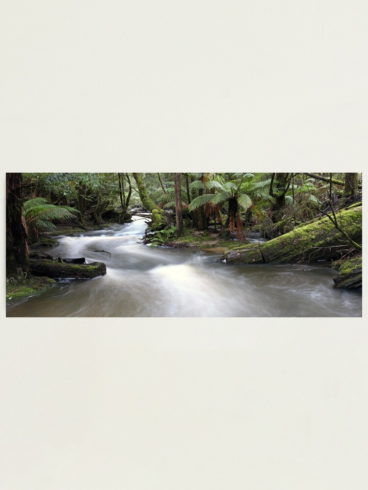 Alternate view of Russell Creek, Tasmania, Australia Photographic Print