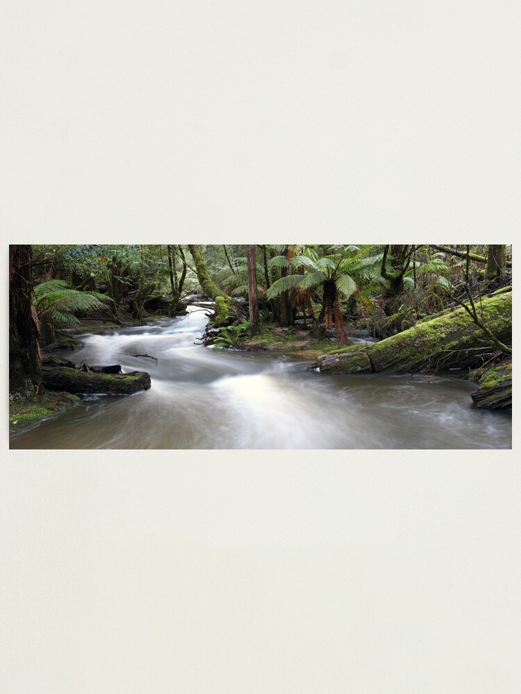 Alternate view of Russell Creek, Tasmania, Australia Photographic Print