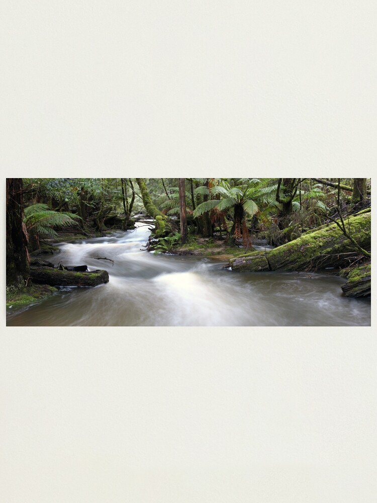 Alternate view of Russell Creek, Tasmania, Australia Photographic Print