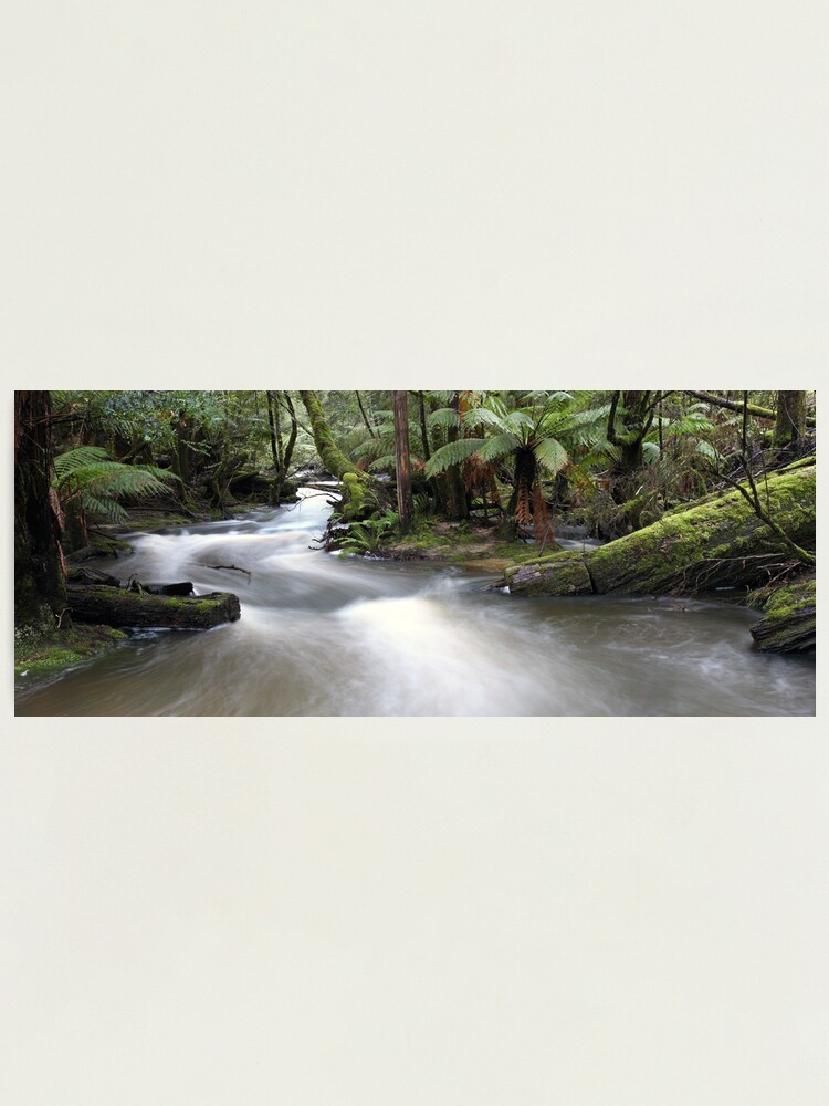 Alternate view of Russell Creek, Tasmania, Australia Photographic Print