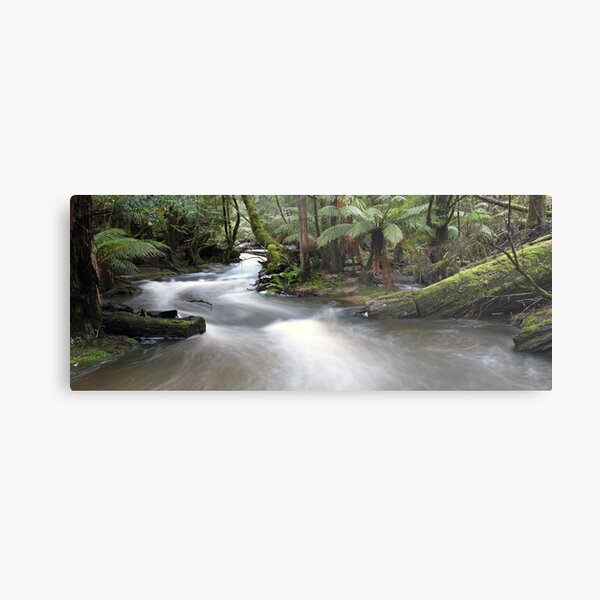 Russell Creek, Tasmania, Australia Metal Print
