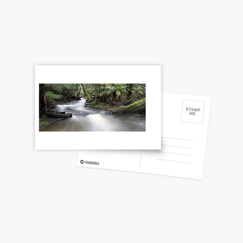 Russell Creek, Tasmania, Australia Postcard