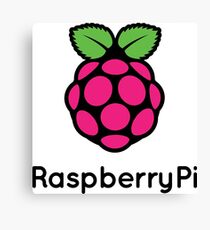Raspberry Pi Logo Canvas Print