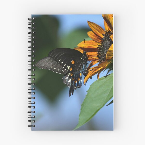Item preview, Black Swallowtail on Sunflower designed and sold by StampCity.