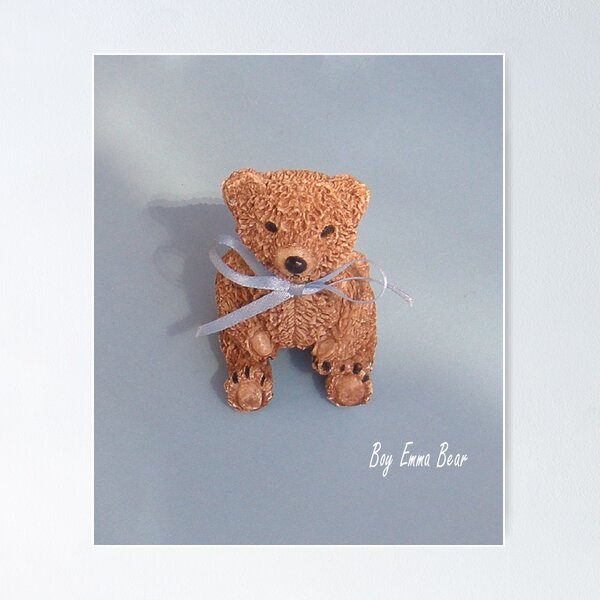 Emma Bear boy Poster