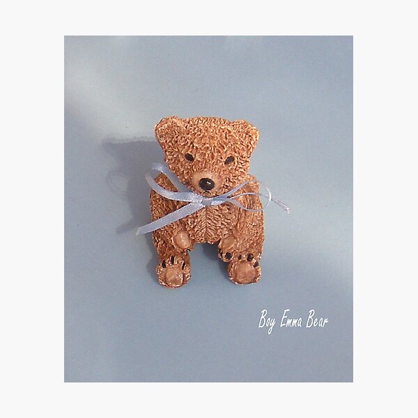 Emma Bear boy Photographic Print
