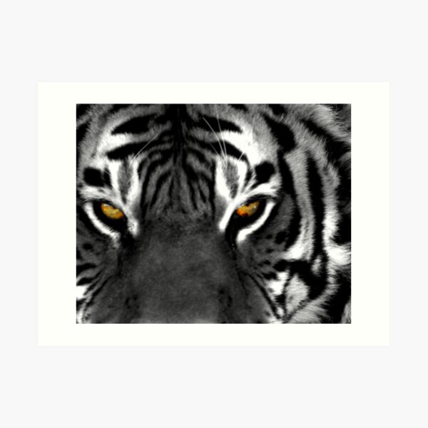 Tiger Eyes I Art Print