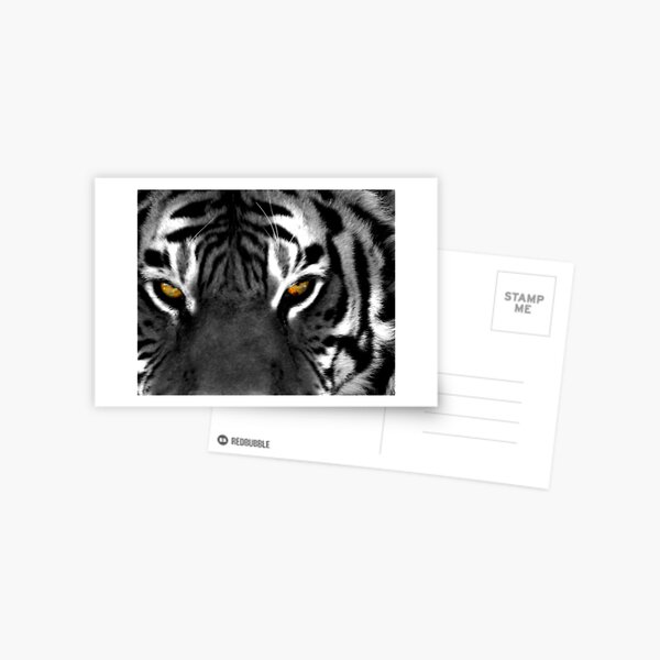 Tiger Eyes I Postcard