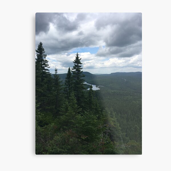 Forest charm Metal Print